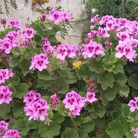 Bbmontejunto Nocleg ze śniadaniem