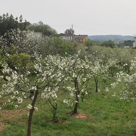 Bbmontejunto Nocleg ze śniadaniem 3*