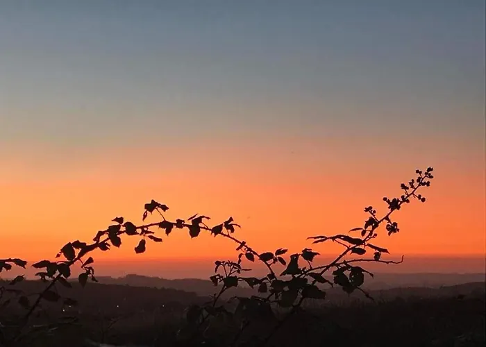 Bed & Breakfast Bbmontejunto