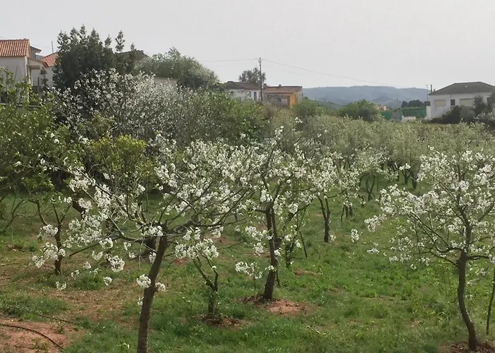 Bbmontejunto Bed & Breakfast 3*