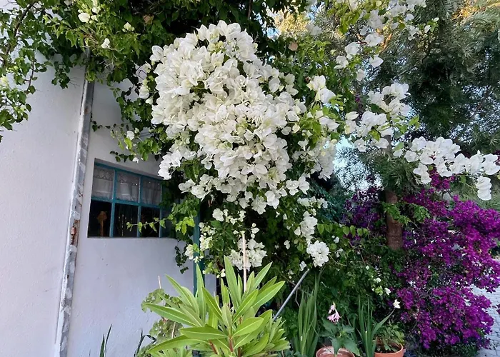 Bbmontejunto Bed & Breakfast Cadaval